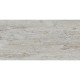 Гранитогрес  FOSSIL BEIGE 9082A11 303*606 мат