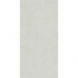 Гранитогрес PARINI LIGHT GREY 105CA11 300*600 мат Гранитогрес PARINI LIGHT GREY 105CA11 300*600 мат