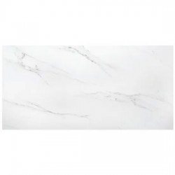 Гранитогрес POLO CARRARA 60*120см 