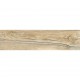 Гранитогрес AMADIO OLIVE 110CD11 15*60 мат