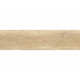 Гранитогрес AMADIO OLIVE 110CD11 15*60 мат